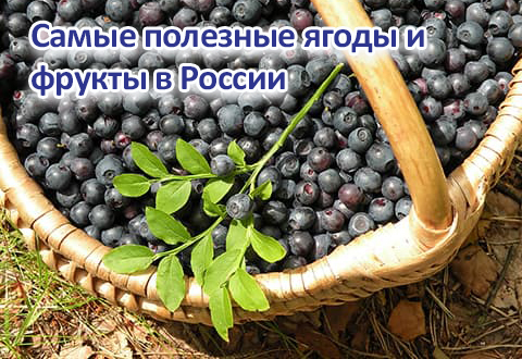 Список самых полезных ягод и фруктов, которые можно и нужно есть в России